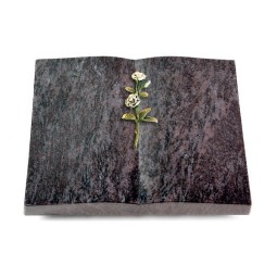 Grabbuch Livre/Orion Rose 8 (Color)