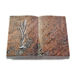 Grabbuch Livre/Paradiso Ähren 2 (Alu)