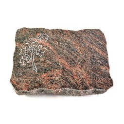 Grabplatte Himalaya Pure Zweig 2