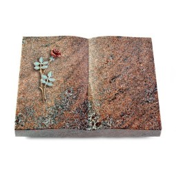 Grabbuch Livre/Paradiso Rose 4 (Color)