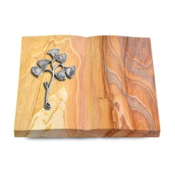 Grabbuch Livre/Rainbow Gingozweig 1 (Alu)