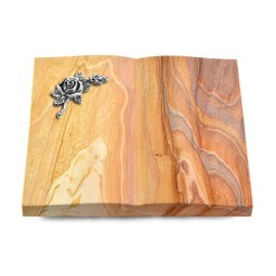 Grabbuch Livre/Rainbow Rose 1 (Alu)