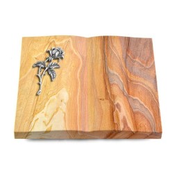 Grabbuch Livre/Rainbow Rose 2 (Alu)