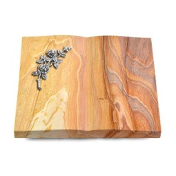 Grabbuch Livre/Rainbow Rose 5 (Alu)