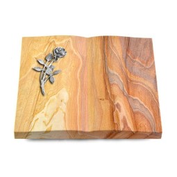 Grabbuch Livre/Rainbow Rose 6 (Alu)