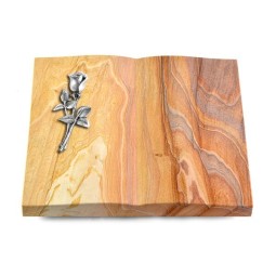 Grabbuch Livre/Rainbow Rose 8 (Alu)