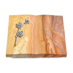 Grabbuch Livre/Rainbow Rose 9 (Alu)