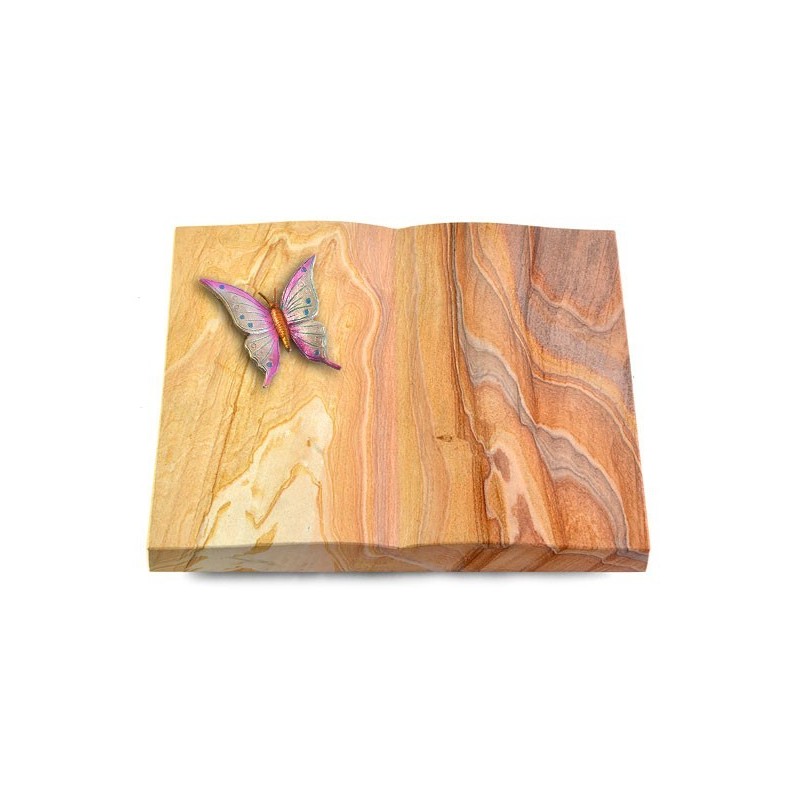 Grabbuch Livre/Rainbow Papillon 1 (Color)