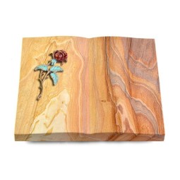 Grabbuch Livre/Rainbow Rose 2 (Color)