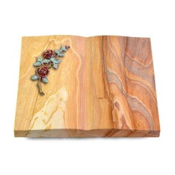 Grabbuch Livre/Rainbow Rose 3 (Color)