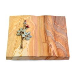 Grabbuch Livre/Rainbow Rose 5 (Color)