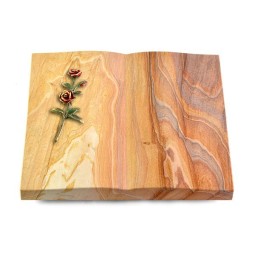 Grabbuch Livre/Rainbow Rose 6 (Color)