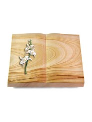 Grabbuch Livre/Woodland Orchidee (Color)