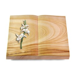 Grabbuch Livre/Woodland Orchidee (Color)