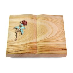 Livre/Rainbow Rose 2 (Color)