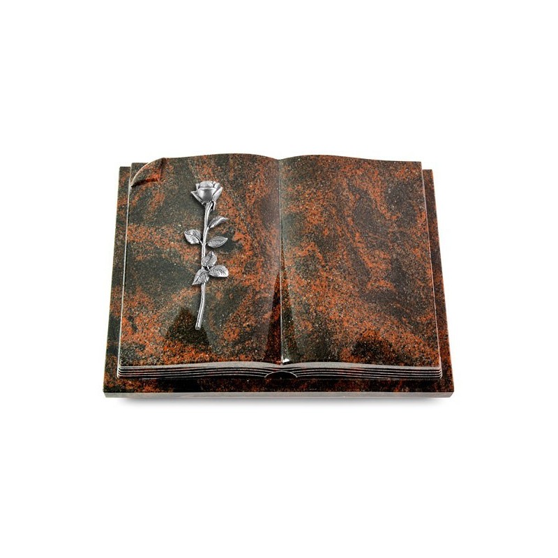Grabbuch Livre Auris/Aruba Rose 12 (Alu)