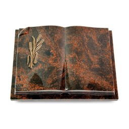 Grabbuch Livre Auris/Aruba Ähren 1 (Bronze)