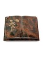 Grabbuch Livre Auris/Aruba Rose 10 (Bronze)