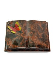 Grabbuch Livre Auris/Aruba Papillon 2 (Color)