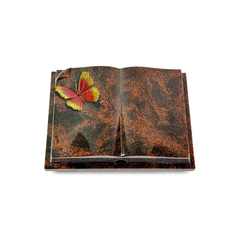 Grabbuch Livre Auris/Aruba Papillon 2 (Color)