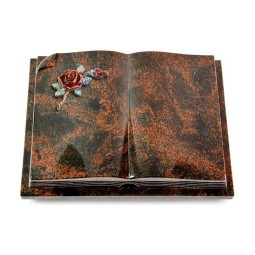 Grabbuch Livre Auris/Aruba Rose 1 (Color)