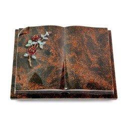 Grabbuch Livre Auris/Aruba Rose 3 (Color)