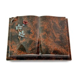 Grabbuch Livre Auris/Aruba Rose 4 (Color)