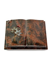 Grabbuch Livre Auris/Aruba Rose 5 (Color)