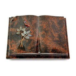 Grabbuch Livre Auris/Aruba Rose 5 (Color)