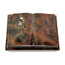 Grabbuch Livre Auris/Aruba Rose 8 (Color)