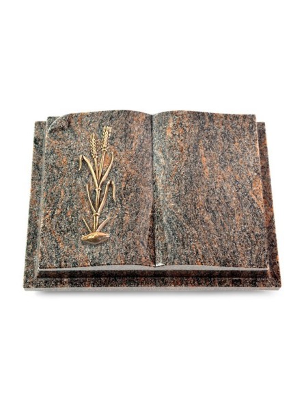 Grabbuch Livre Auris/Himalaya Ähren 2 (Bronze)