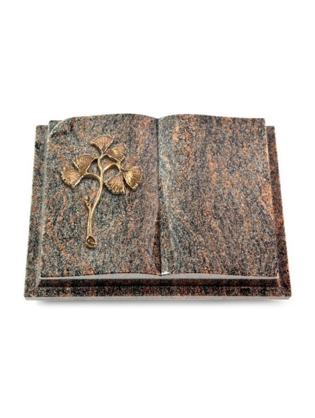 Grabbuch Livre Auris/Himalaya Gingozweig 1 (Bronze)