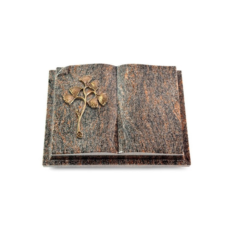 Grabbuch Livre Auris/Himalaya Gingozweig 1 (Bronze)