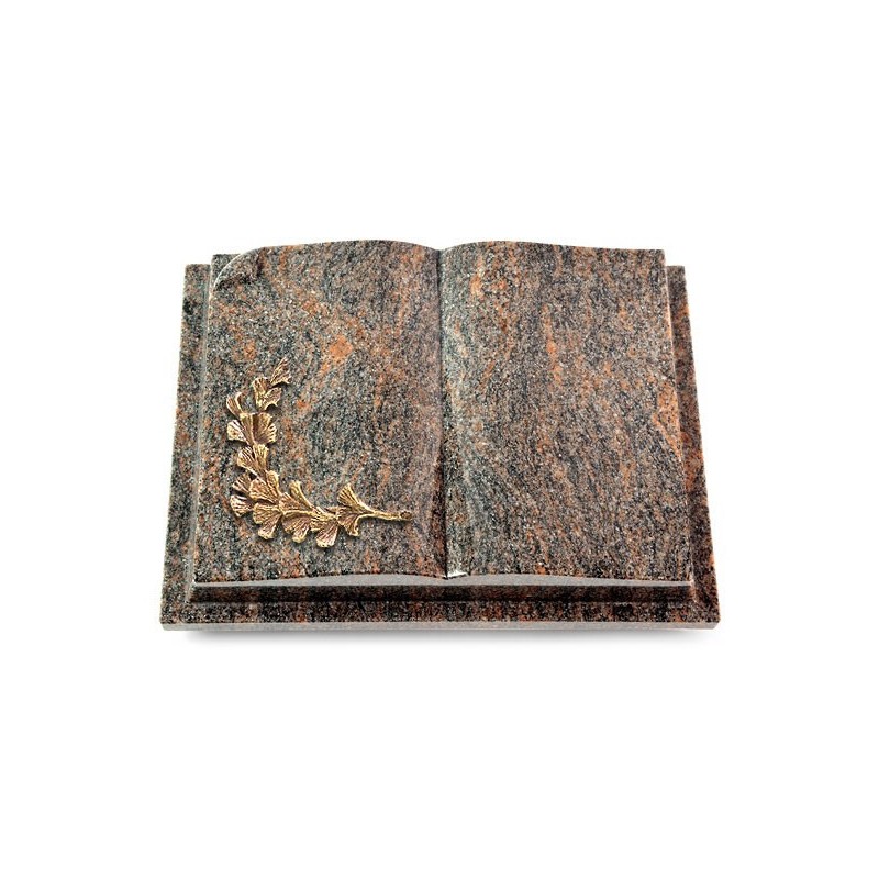 Grabbuch Livre Auris/Himalaya Gingozweig 2 (Bronze)