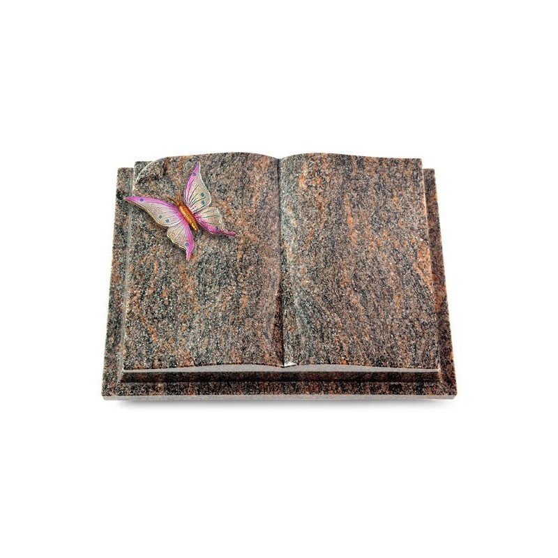 Grabbuch Livre Auris/Himalaya Papillon 1 (Color)
