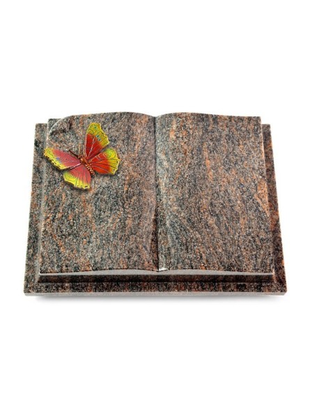 Grabbuch Livre Auris/Himalaya Papillon 2 (Color)