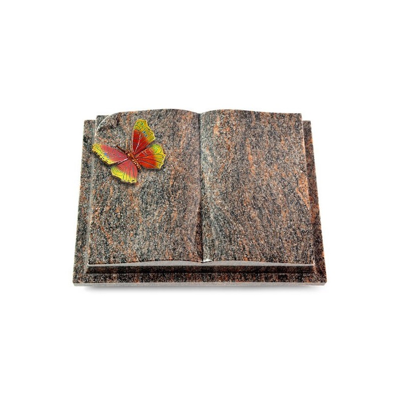 Grabbuch Livre Auris/Himalaya Papillon 2 (Color)