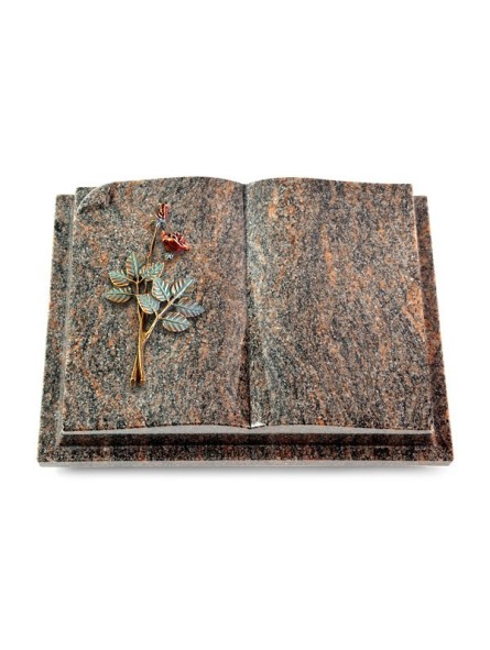 Grabbuch Livre Auris/Himalaya Rose 5 (Color)