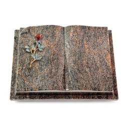 Grabbuch Livre Auris/Himalaya Rose 7 (Color)