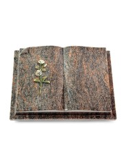 Grabbuch Livre Auris/Himalaya Rose 8 (Color)