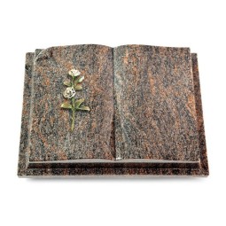 Grabbuch Livre Auris/Himalaya Rose 8 (Color)