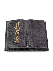 Grabbuch Livre Auris/Orion Ähren 2 (Bronze)