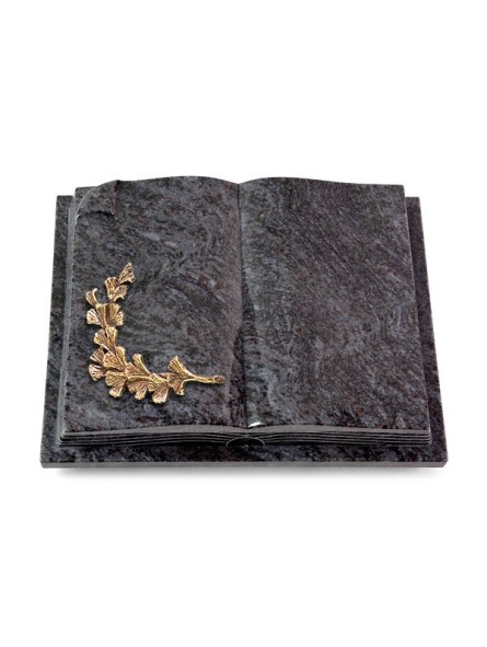 Grabbuch Livre Auris/Orion Gingozweig 2 (Bronze)