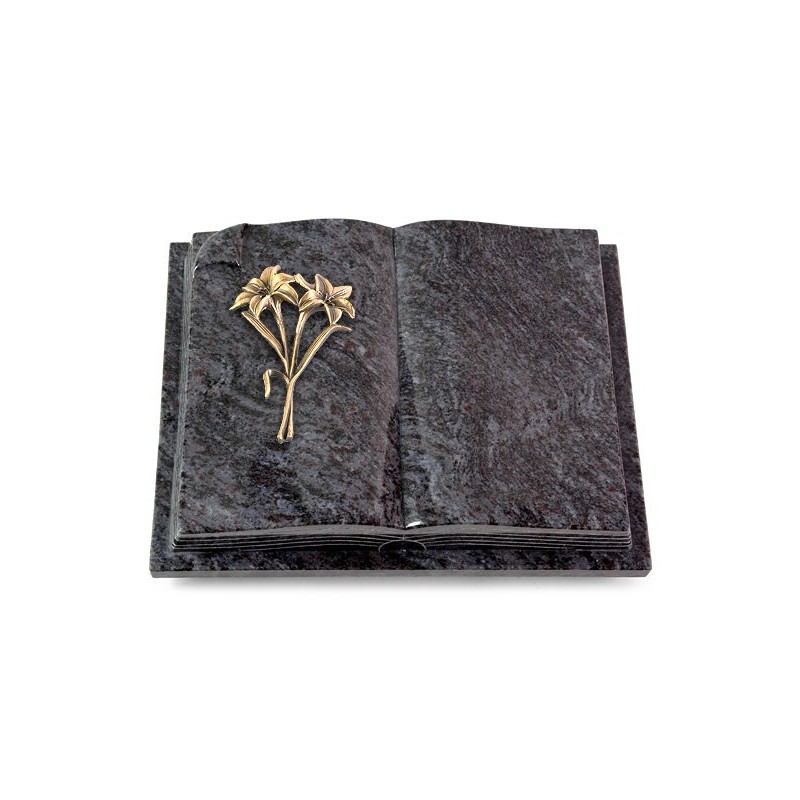 Grabbuch Livre Auris/Orion Lilie (Bronze)