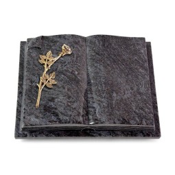 Grabbuch Livre Auris/Orion Rose 9 (Bronze)