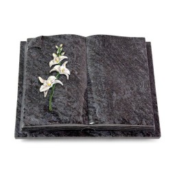 Livre Auris/Indisch-Black Orchidee (Color)