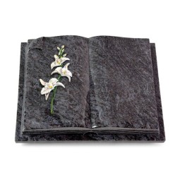 Grabbuch Livre Auris/Orion Orchidee (Color)