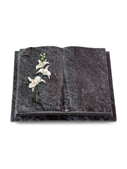 Grabbuch Livre Auris/Orion Orchidee (Color) Grabbuch Livre Auris/Orion Orchidee (Color)