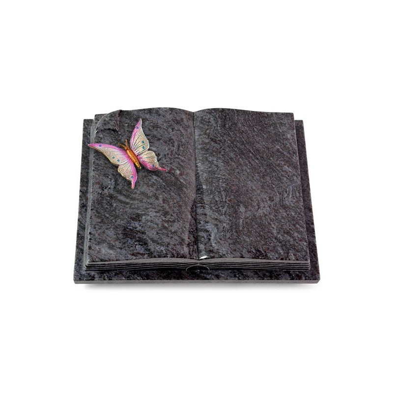 Grabbuch Livre Auris/Orion Papillon 1 (Color)