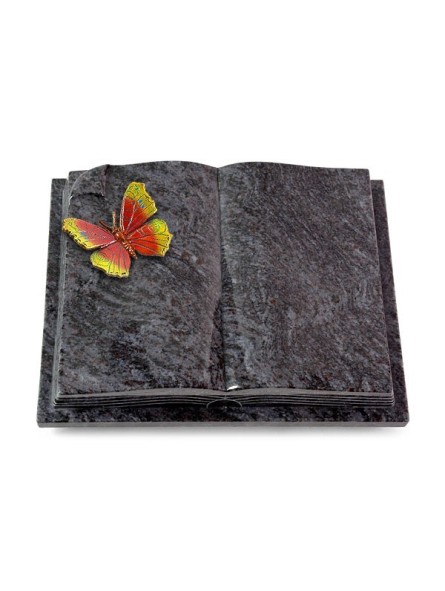 Grabbuch Livre Auris/Orion Papillon 2 (Color)